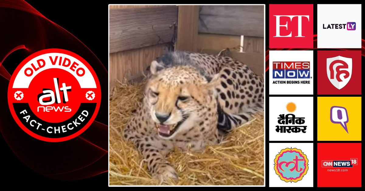 News channels show old, unrelated video as clip of cheetah brought to India from Namibia – Alt News