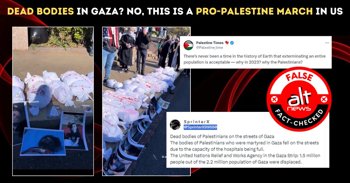 Video of pro-Palestine demonstration in Washington viral; users falsely claim it shows dead bodies in Gaza – Alt News