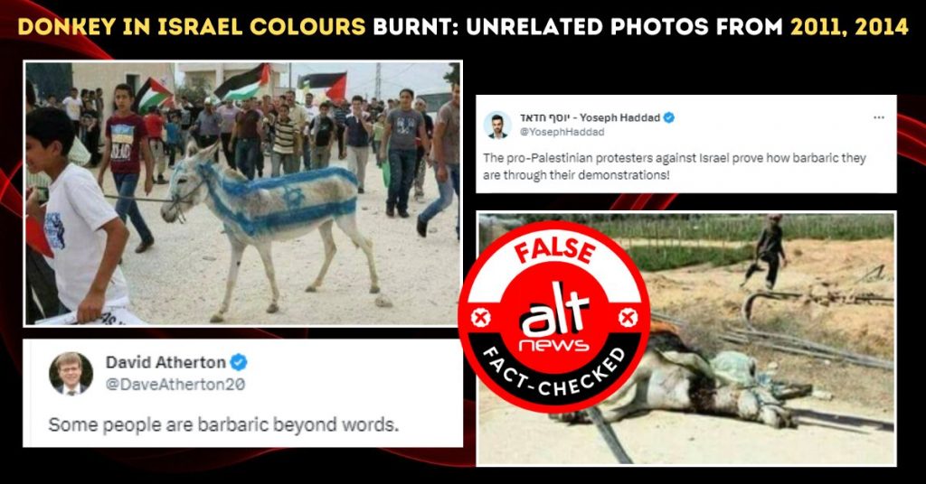 Donkey painted in Israel colours set ablaze? Photos from 2011, 2014 falsely viral