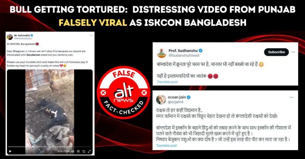Bull getting tortured: Distressing video from Punjab falsely viral as ISKCON Bangladesh