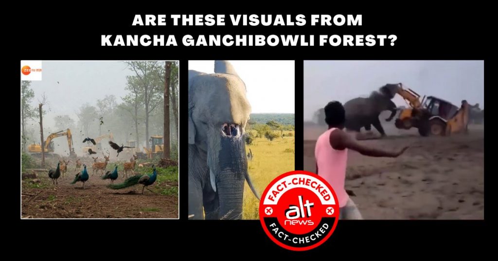 Kancha Gachibowli forest clearance in Telangana sparks wave of unrelated, AI-generated visuals of animal suffering