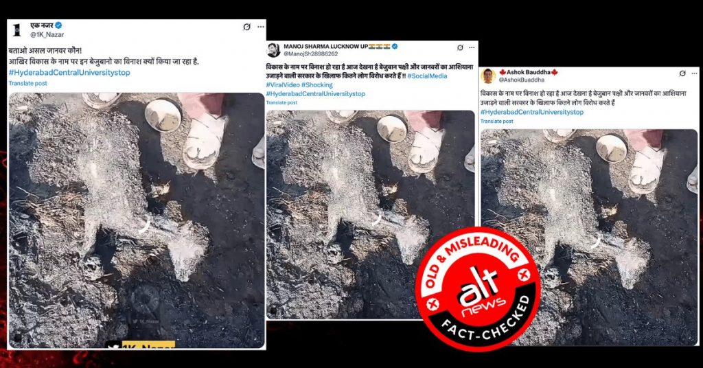 HCU land row: Video of goats killed in Uttar Pradesh village fire falsely shared