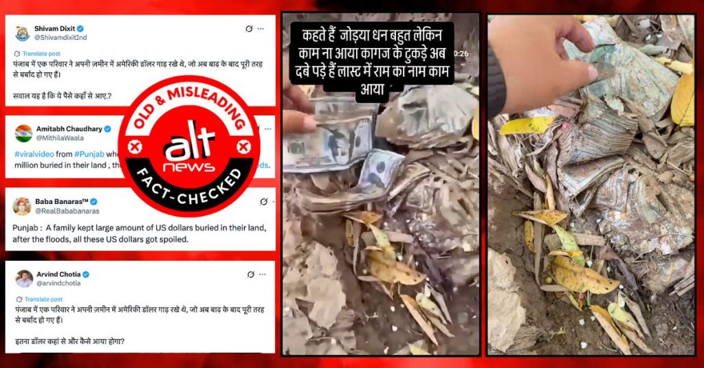 US dollar found buried in flood-hit Punjab? No, viral video falsely shared